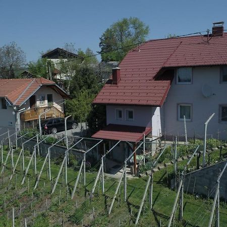 Apartment House Sumrak Bizeljsko Esterno foto